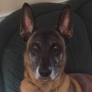 Meet your Posher, Janice